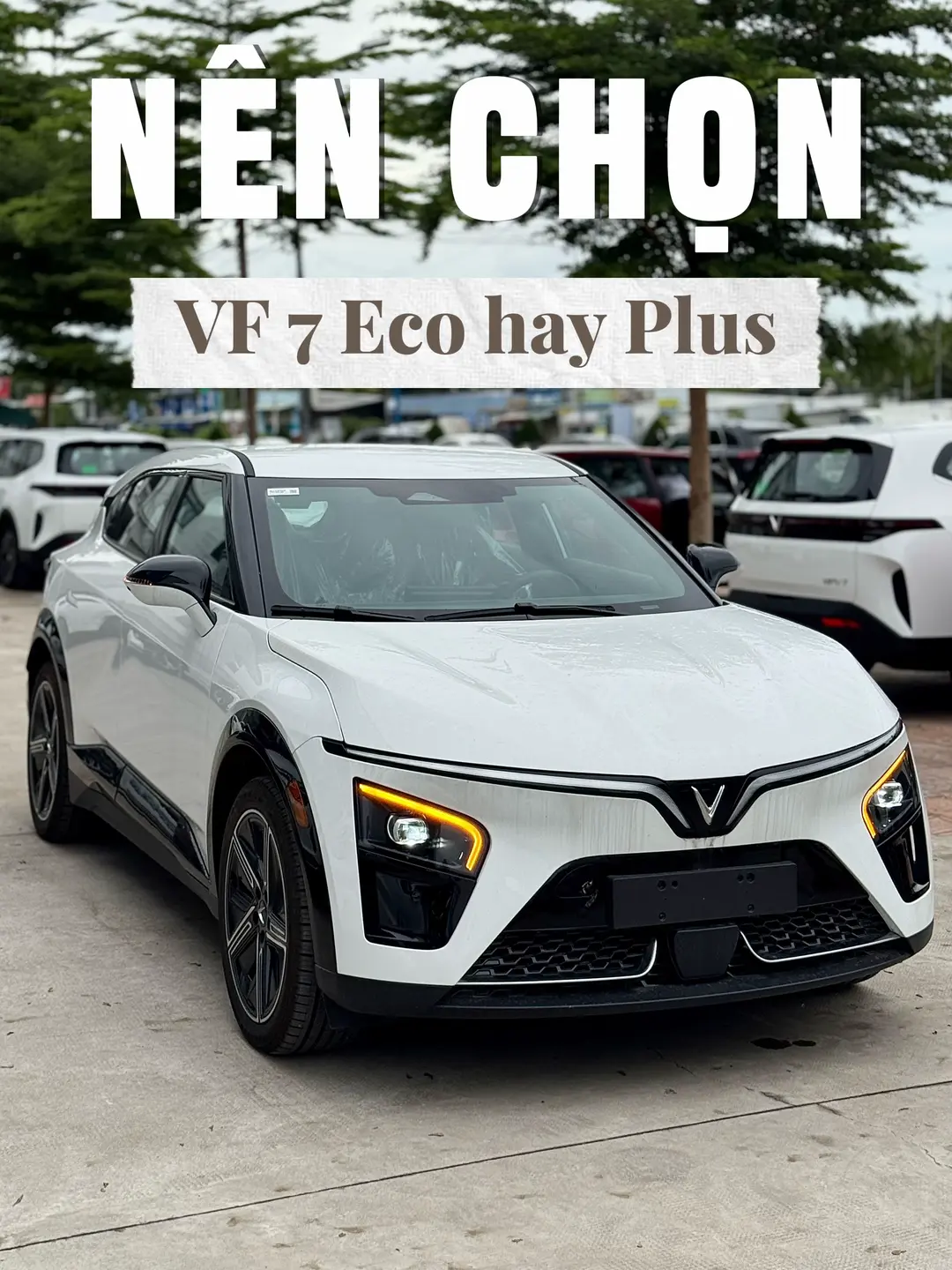 Car360 cover