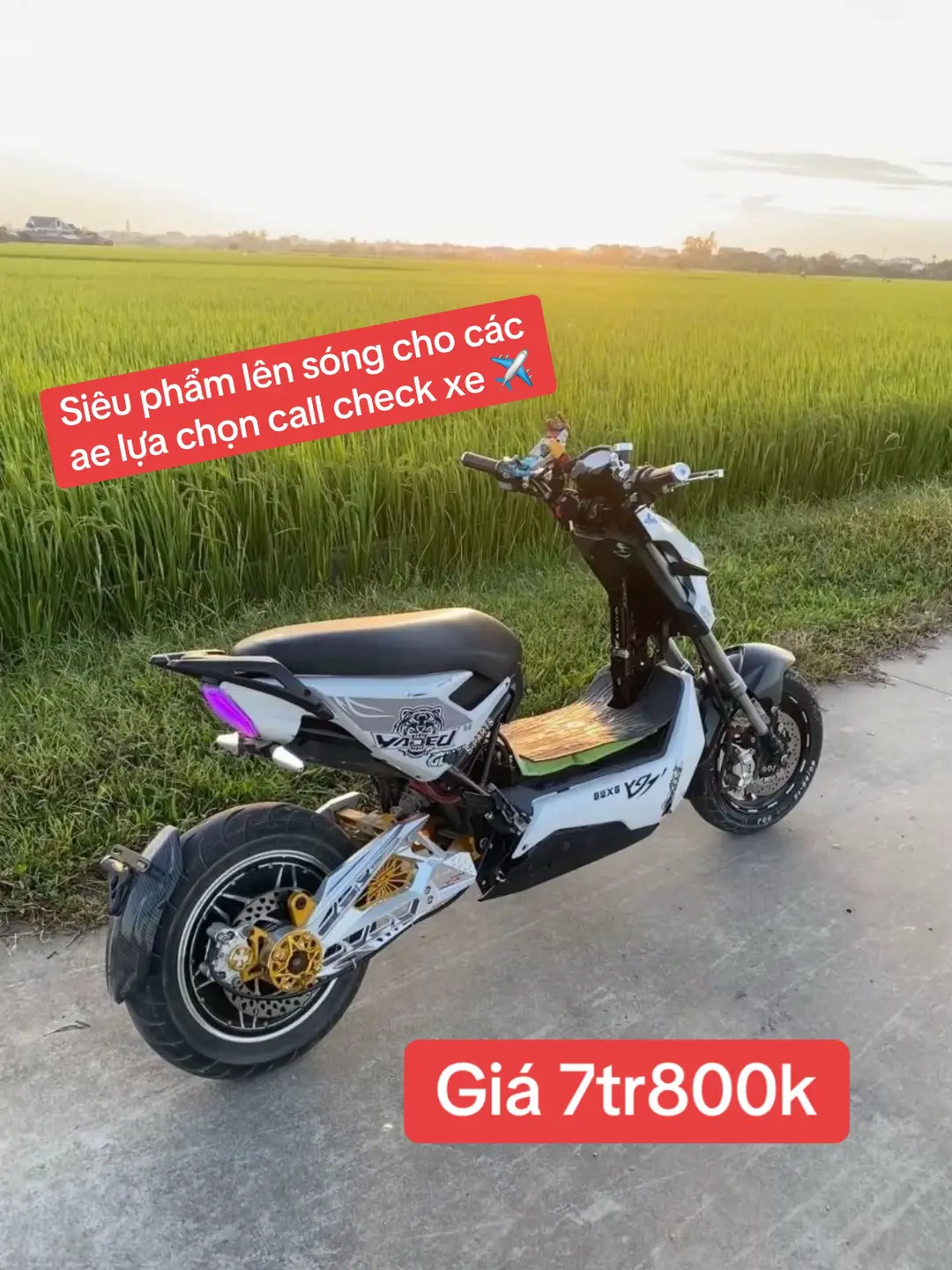 Car360 cover