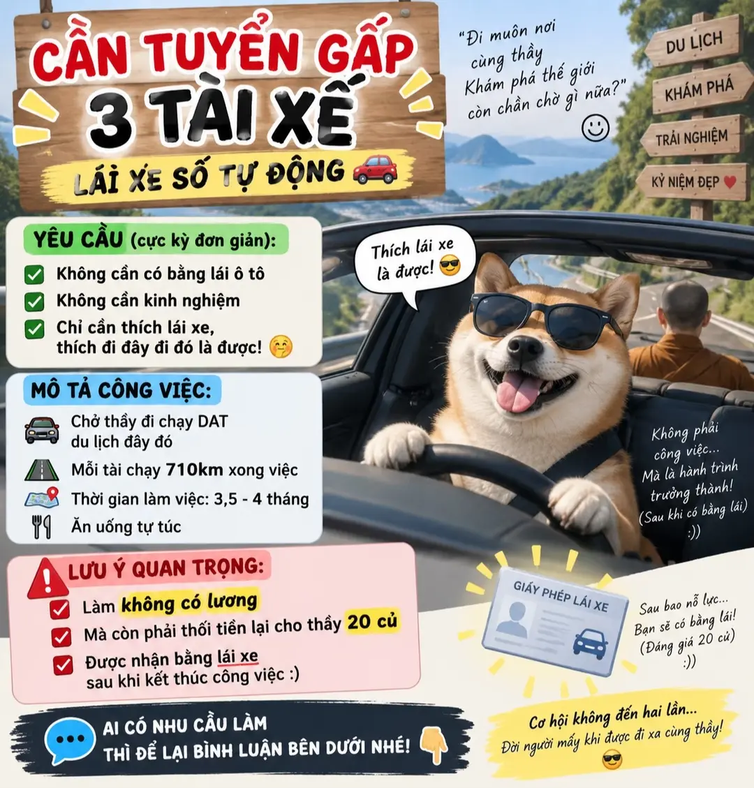 Car360 cover