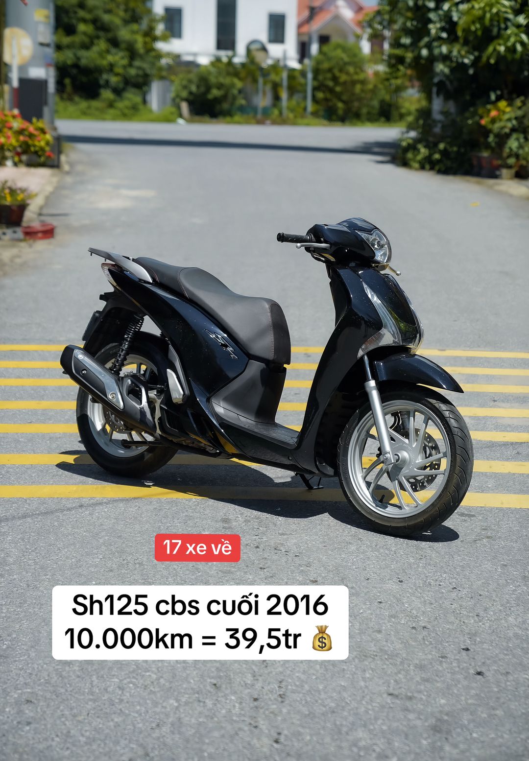 Car360 cover