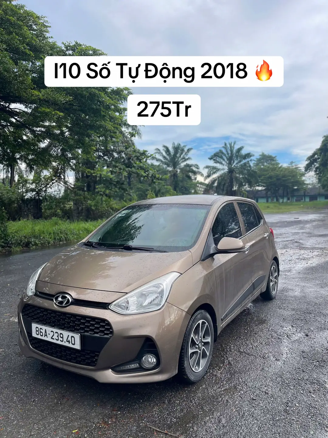 Car360 cover