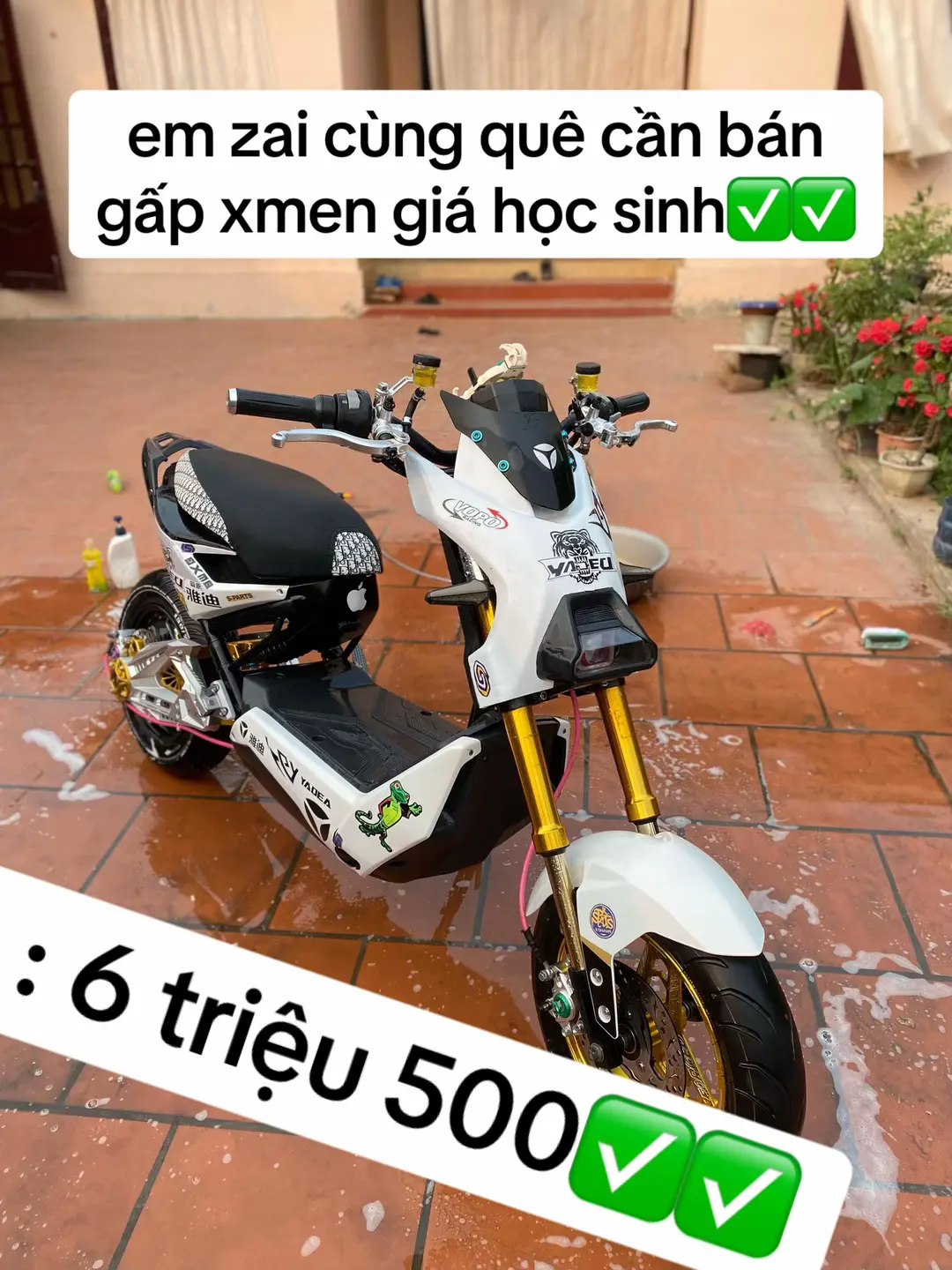 Car360 cover