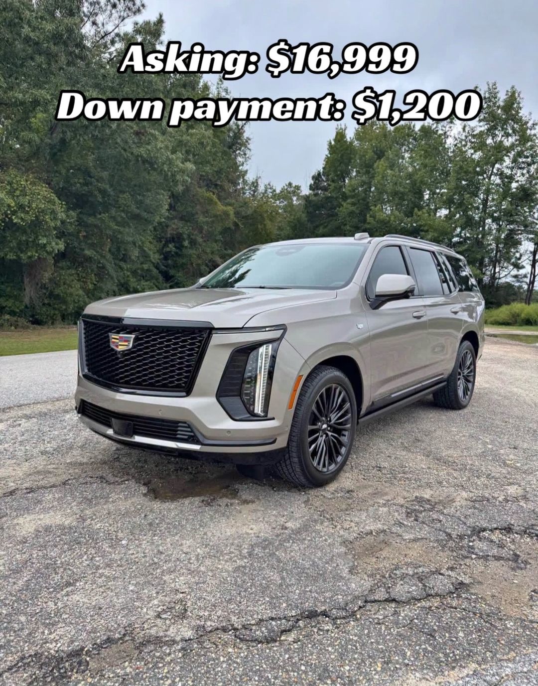 Car360 cover