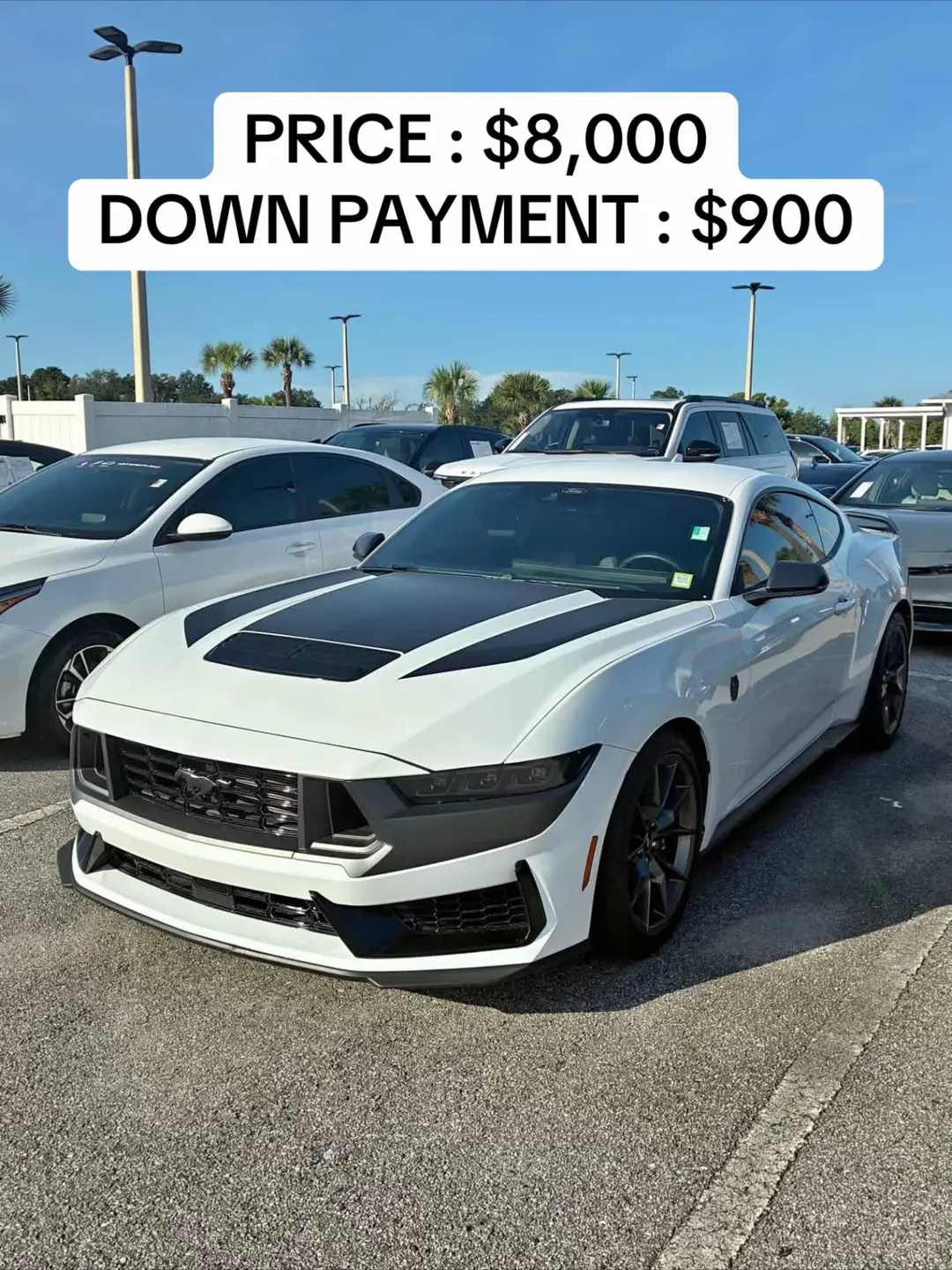 Car360 cover