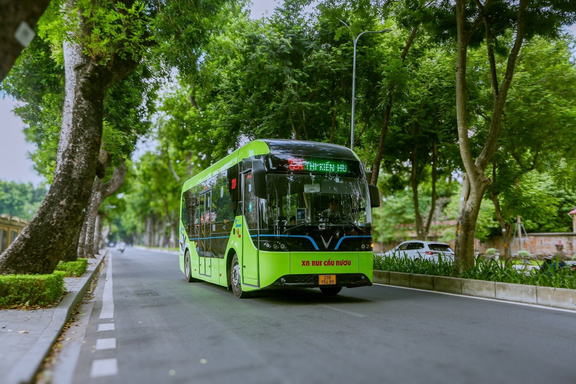 bus