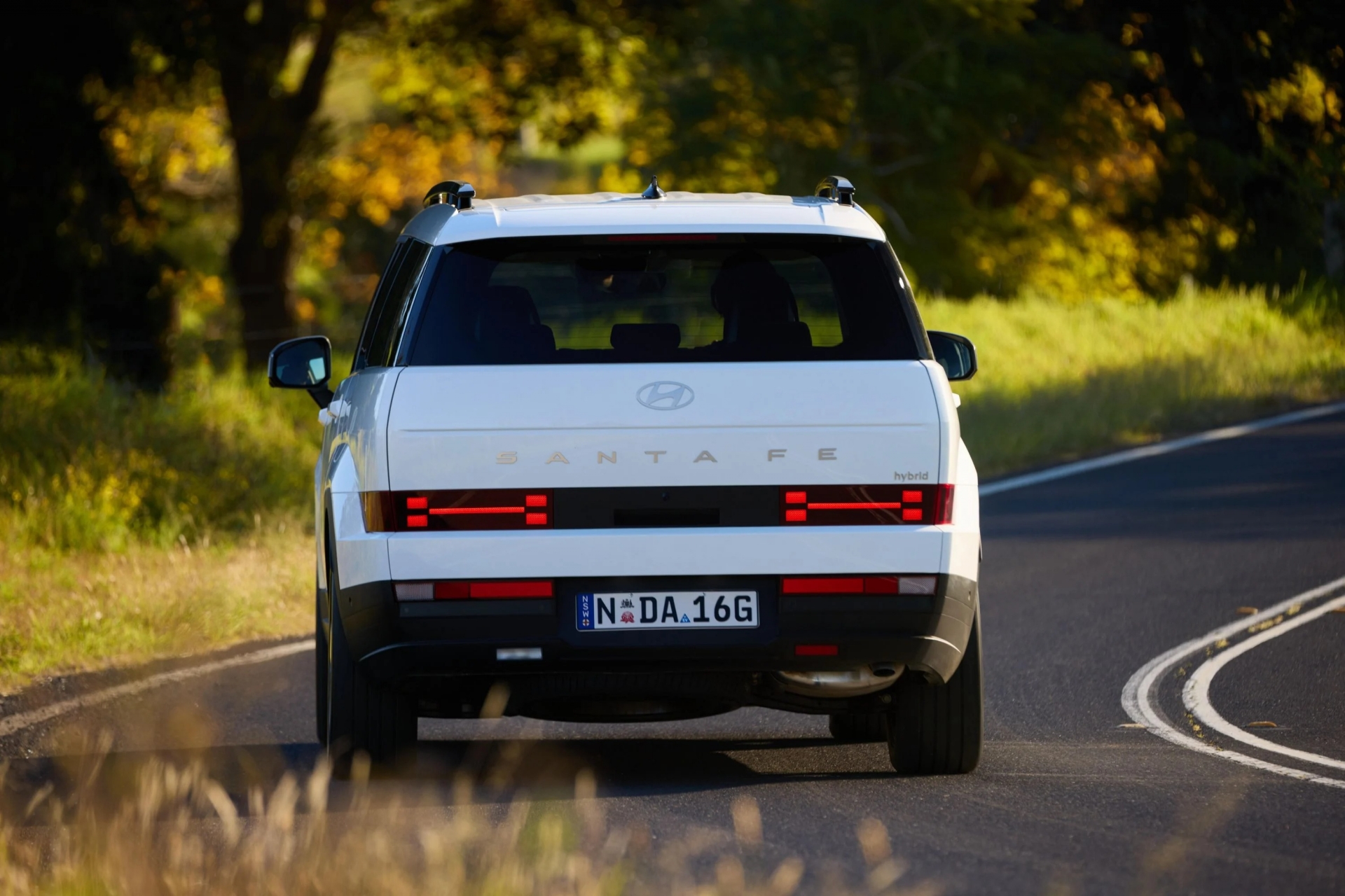 Hyundai Santa Fe EREV