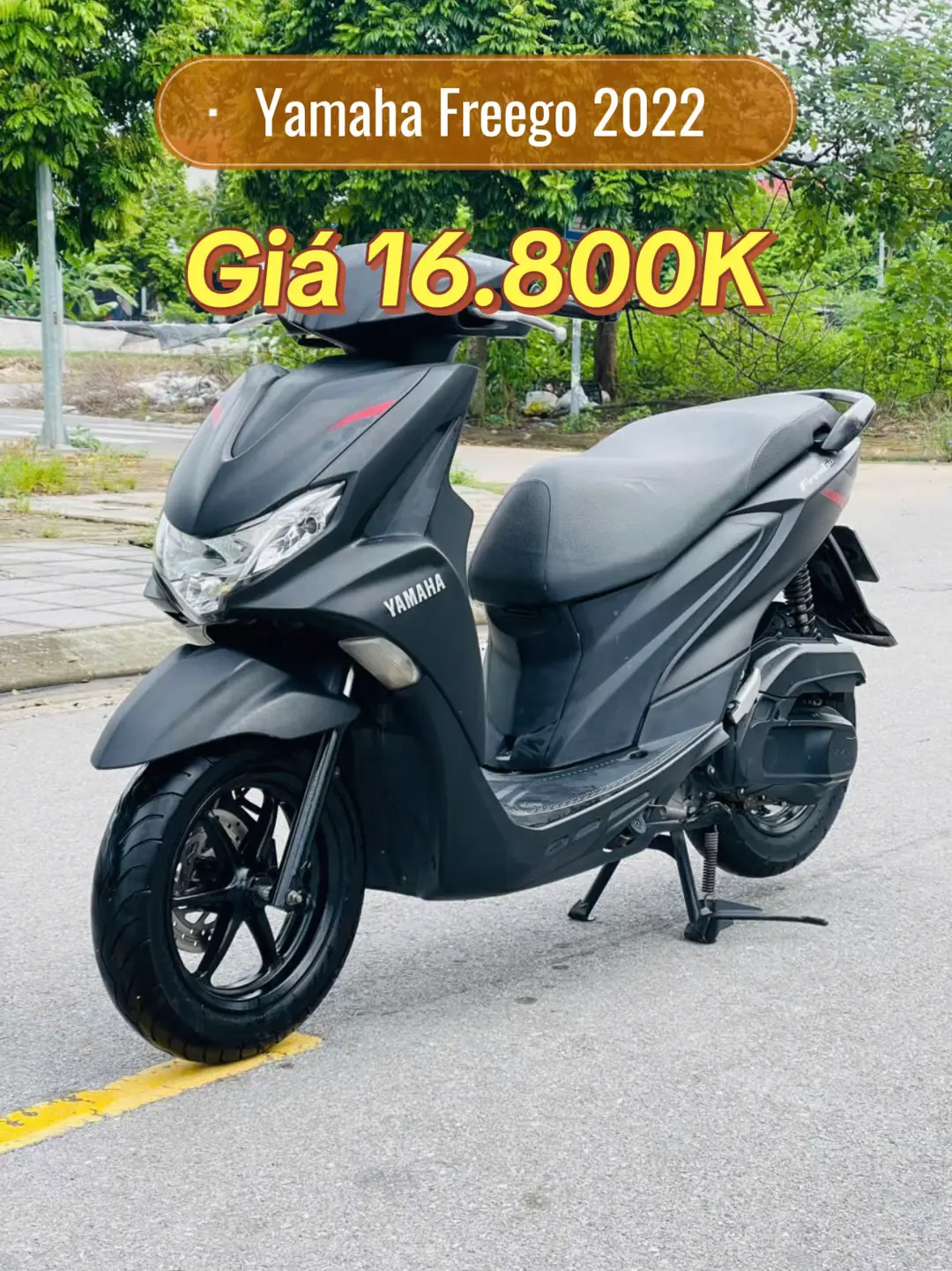 Car360 cover