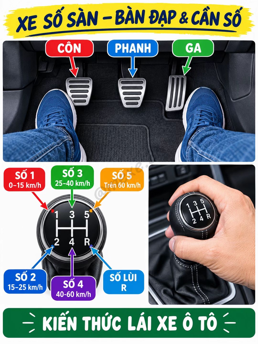 Car360 cover