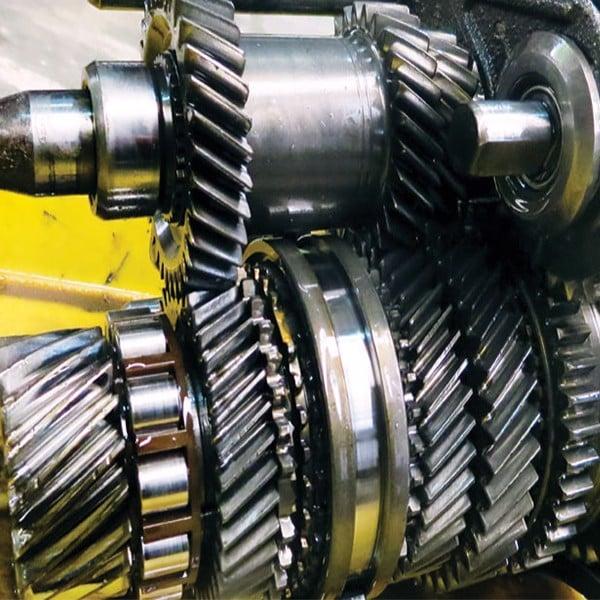 Tiếng kêu gộc gộc nhẹ