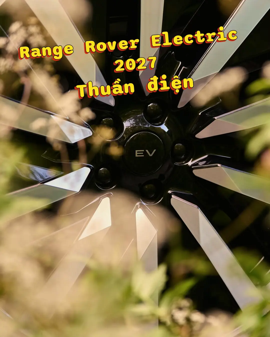 Car360 cover