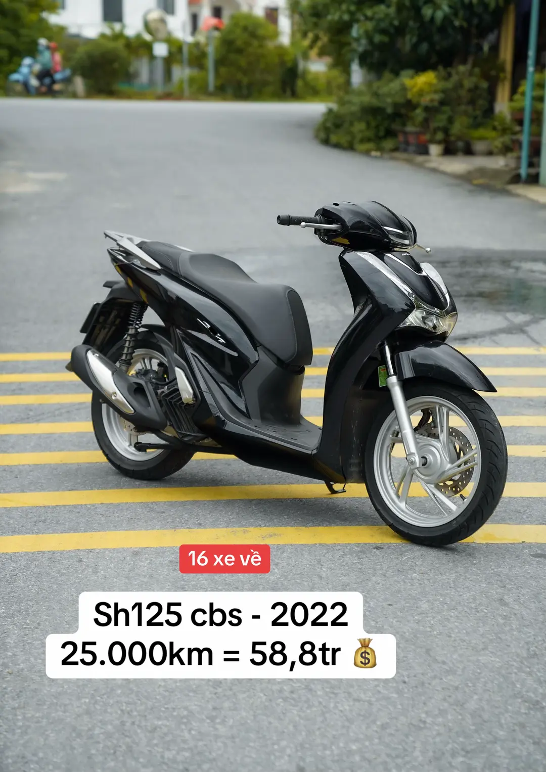 Car360 cover