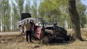 Car360 cover