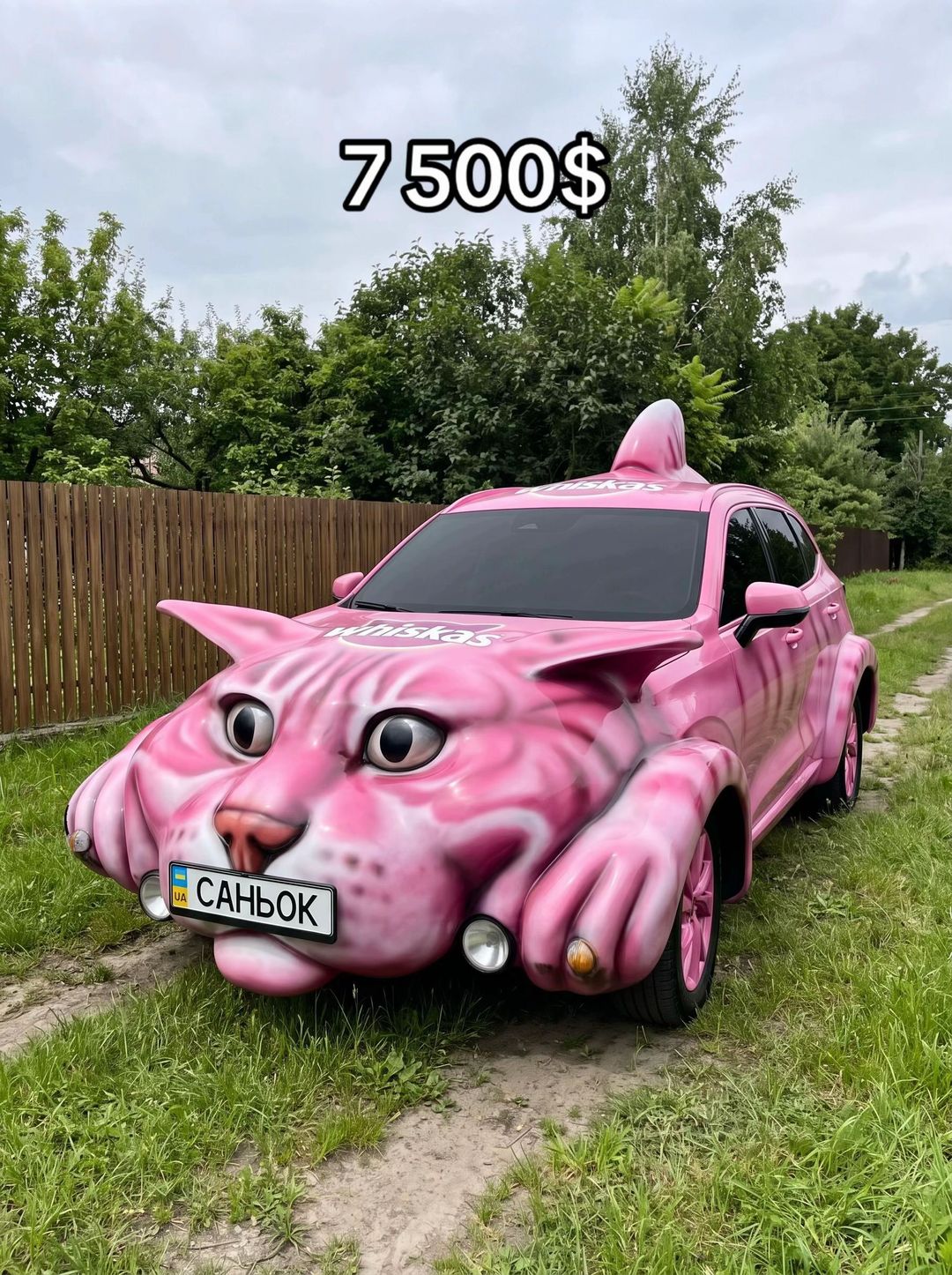 Car360 cover