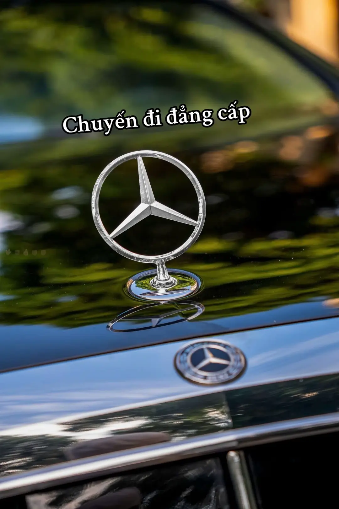 Car360 cover