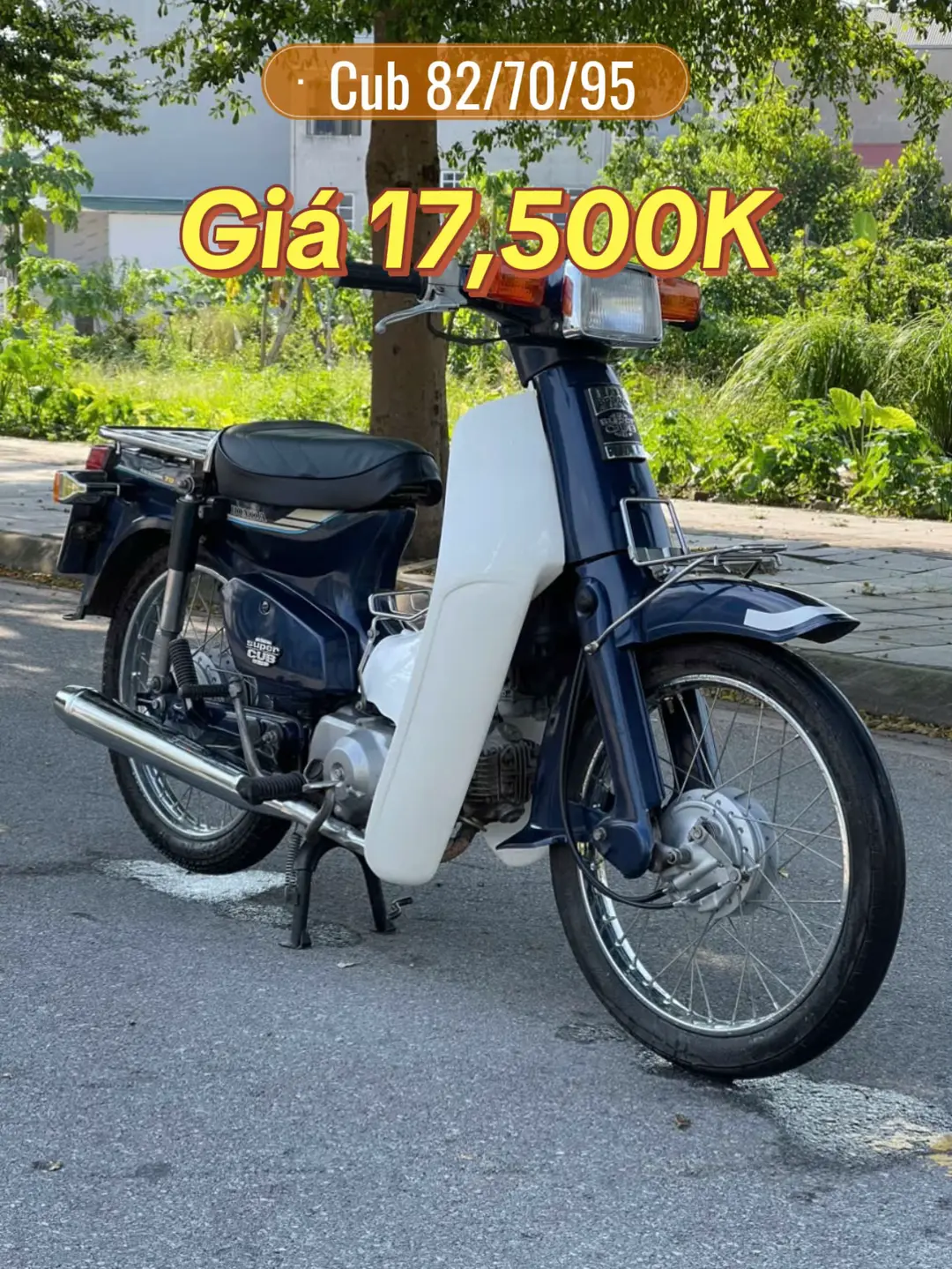 Car360 cover