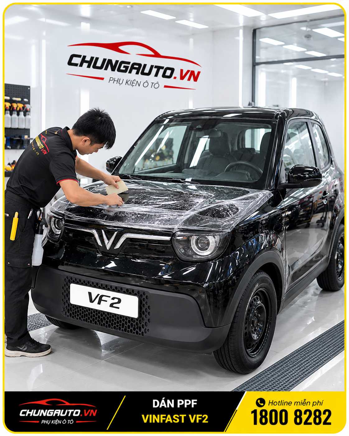dan-ppf-vf2-xuong