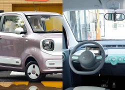 Car360 cover