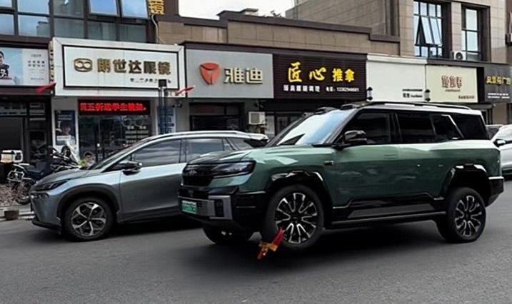 BYD Fang Cheng Bao Bao 8 (2)