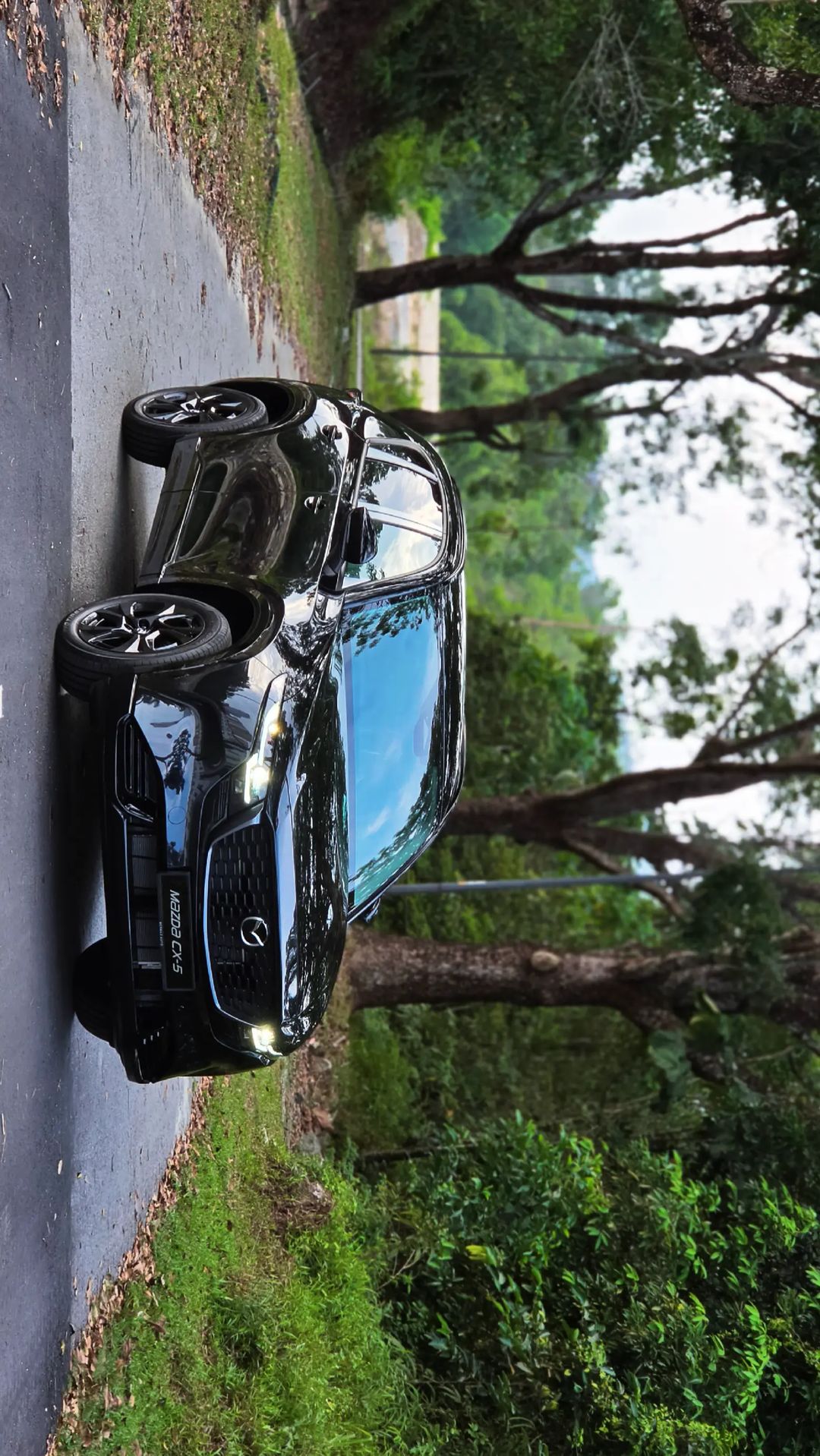 Car360 cover