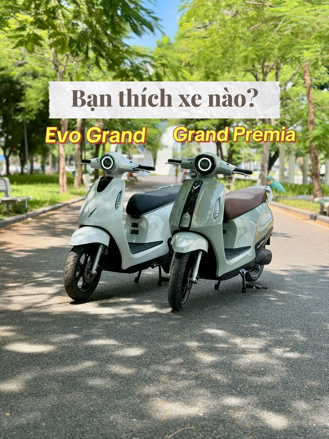 Car360 cover
