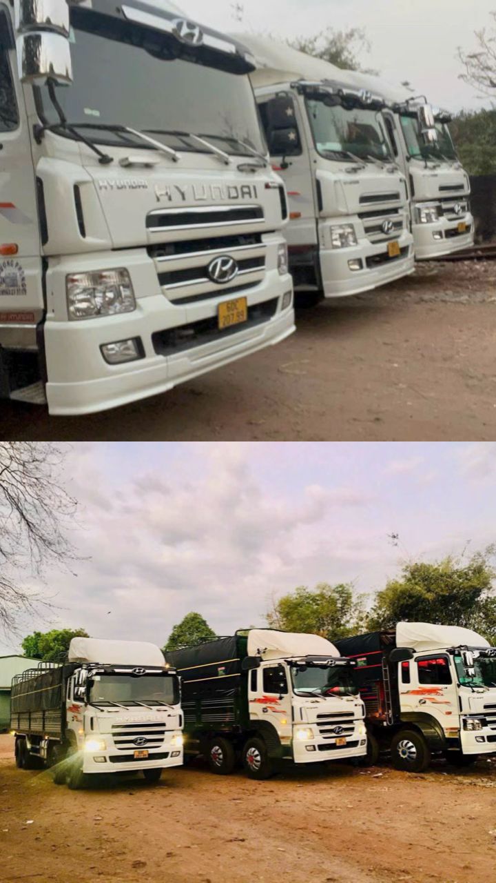 Cần mua nhiều xe Hino và Hyundai 3-4-5 chân ,hoa hồng cao cho ae giới thiệu,giao dịch trên toàn quốc 24/24. Hotline 0962377779 !