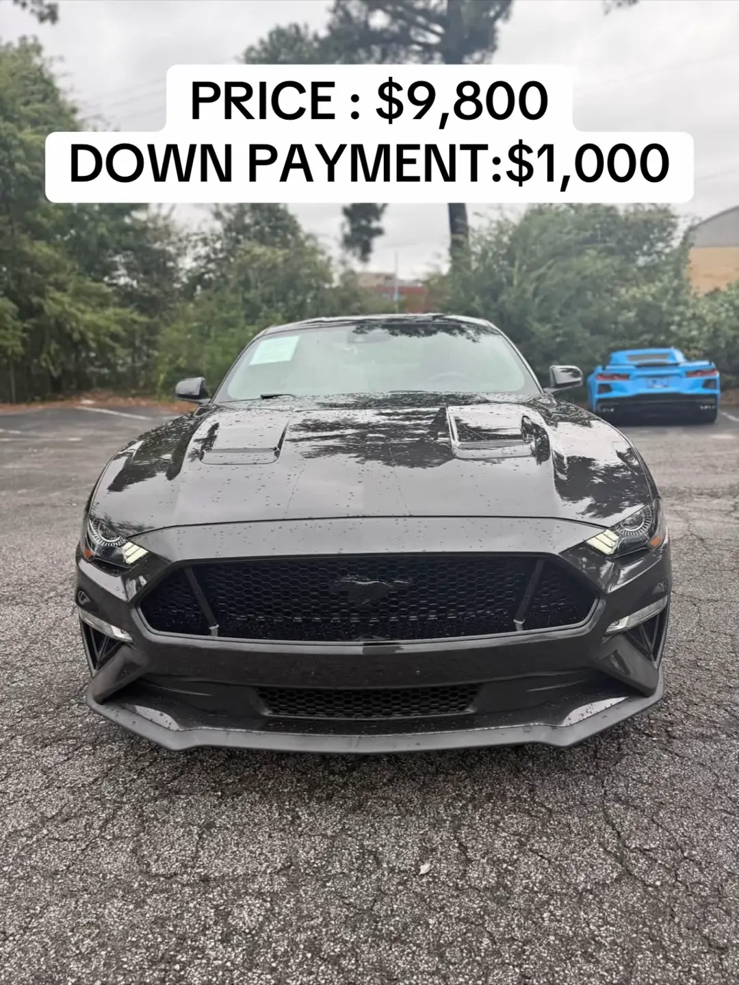 Car360 cover