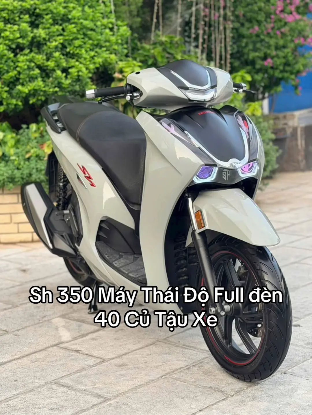 Car360 cover