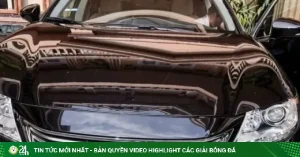 Car360 cover