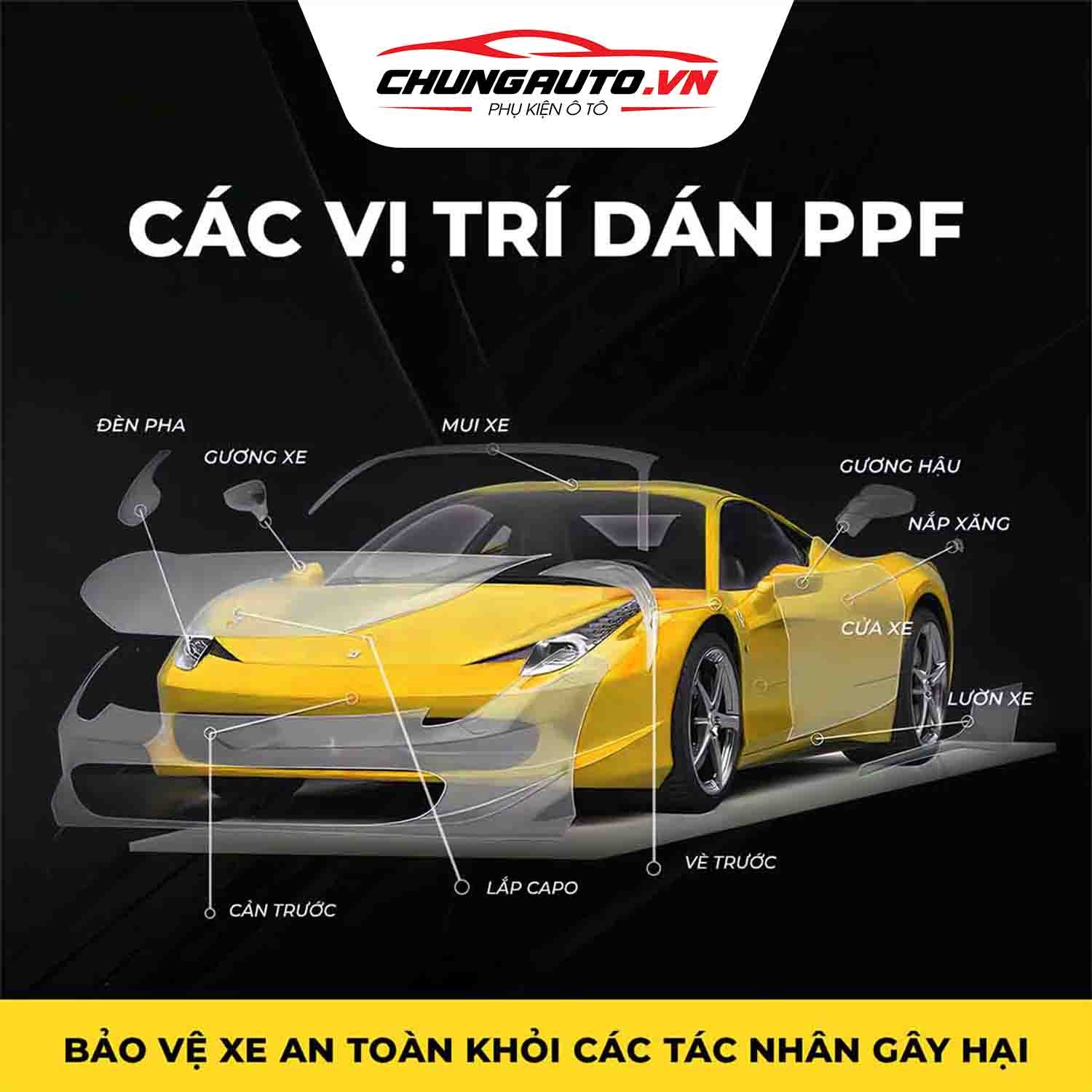 cac-vi-tri-dan-ppf-tren-o-to