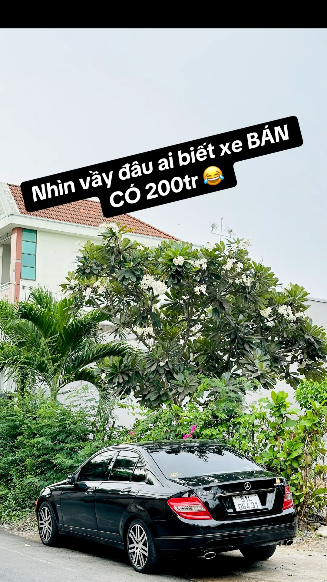 Car360 cover