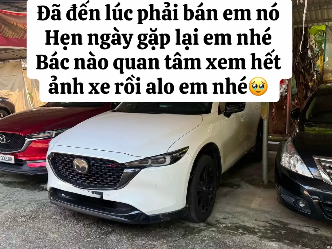 Car360 cover