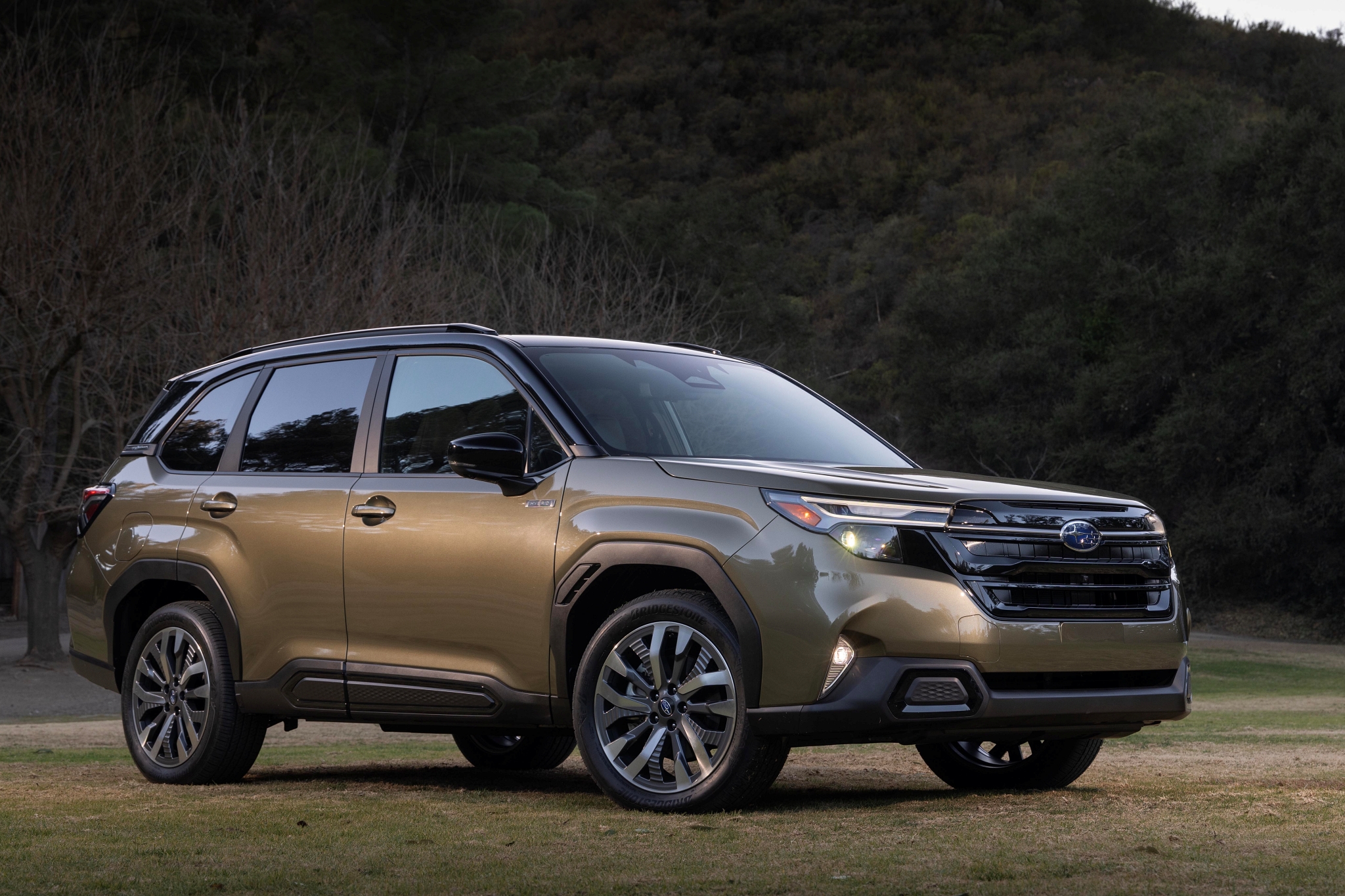 Giá đồn đoán 1,5 tỷ đồng của Forester Hybrid ngang ngửa SUV hạng E như Hyundai Palisade thế hệ mới (dự kiến từ 1,5 tỷ đồng) (Ảnh: Subaru).