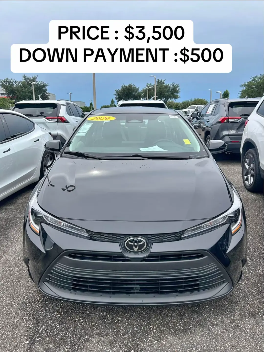 Car360 cover