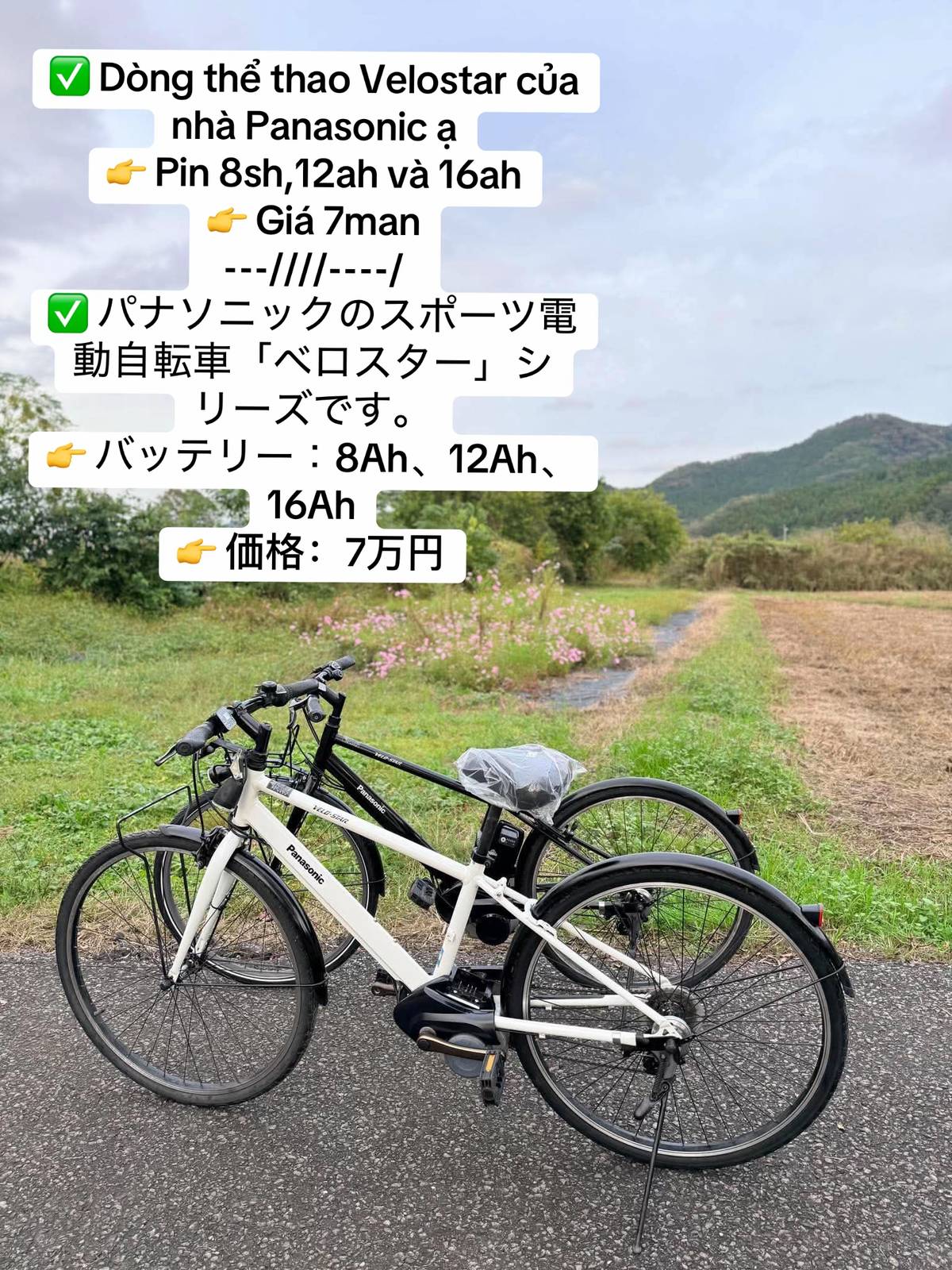 Car360 cover