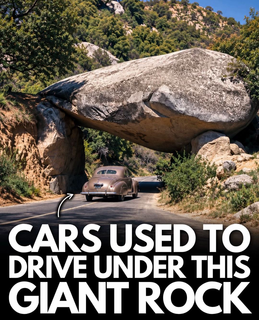 Car360 cover