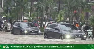 Car360 cover