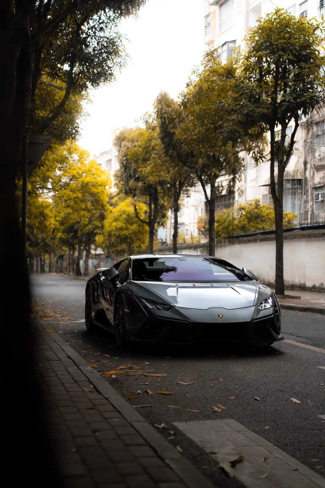 Car360 cover