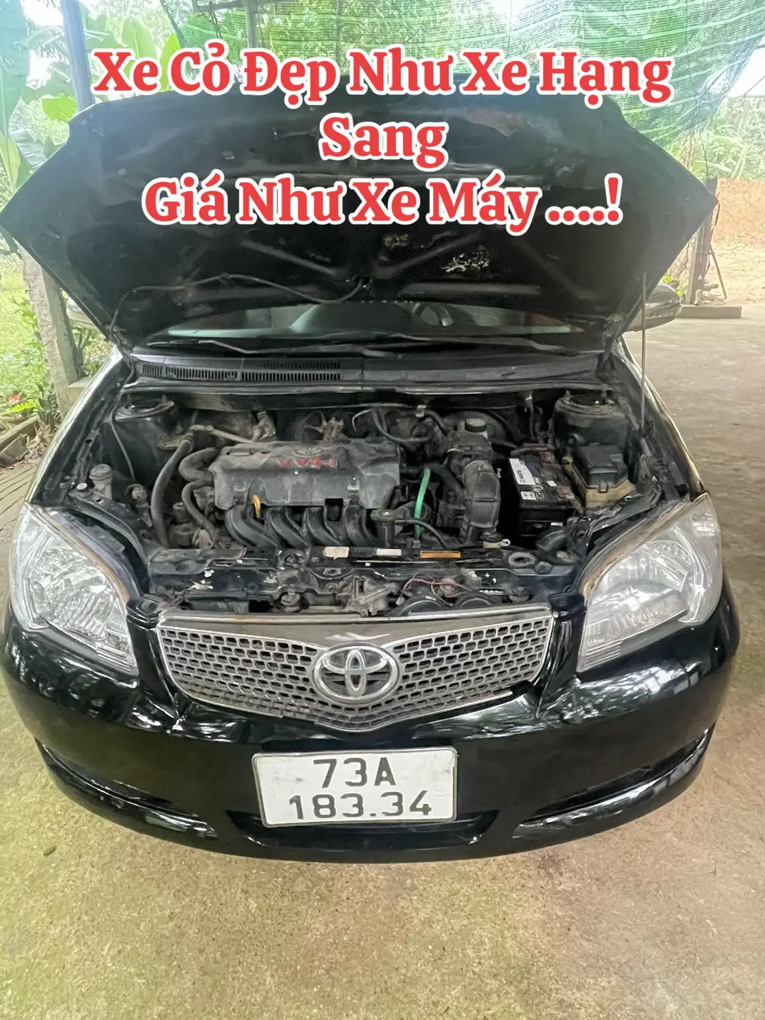 Car360 cover