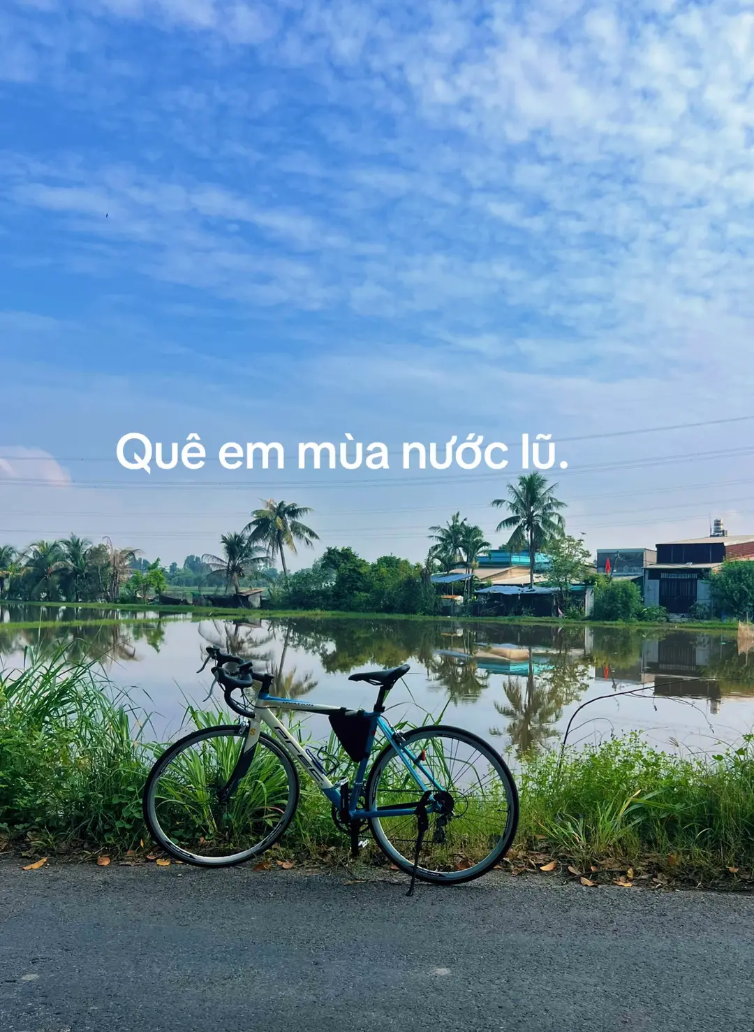 Car360 cover
