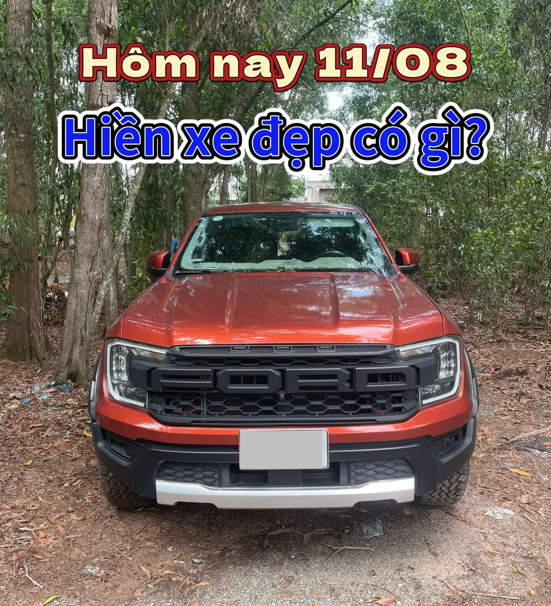 Car360 cover