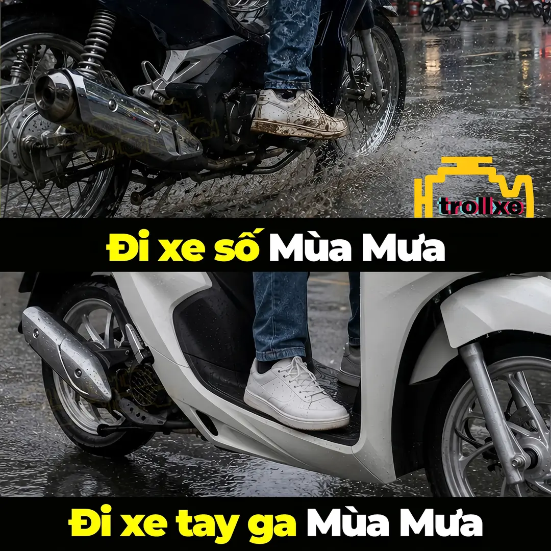 Car360 cover