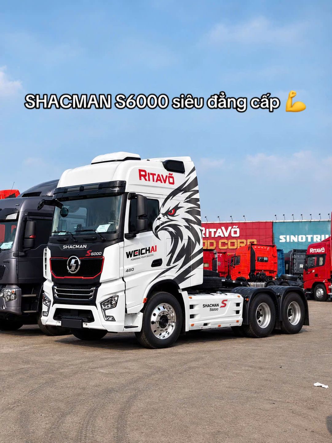 Car360 cover