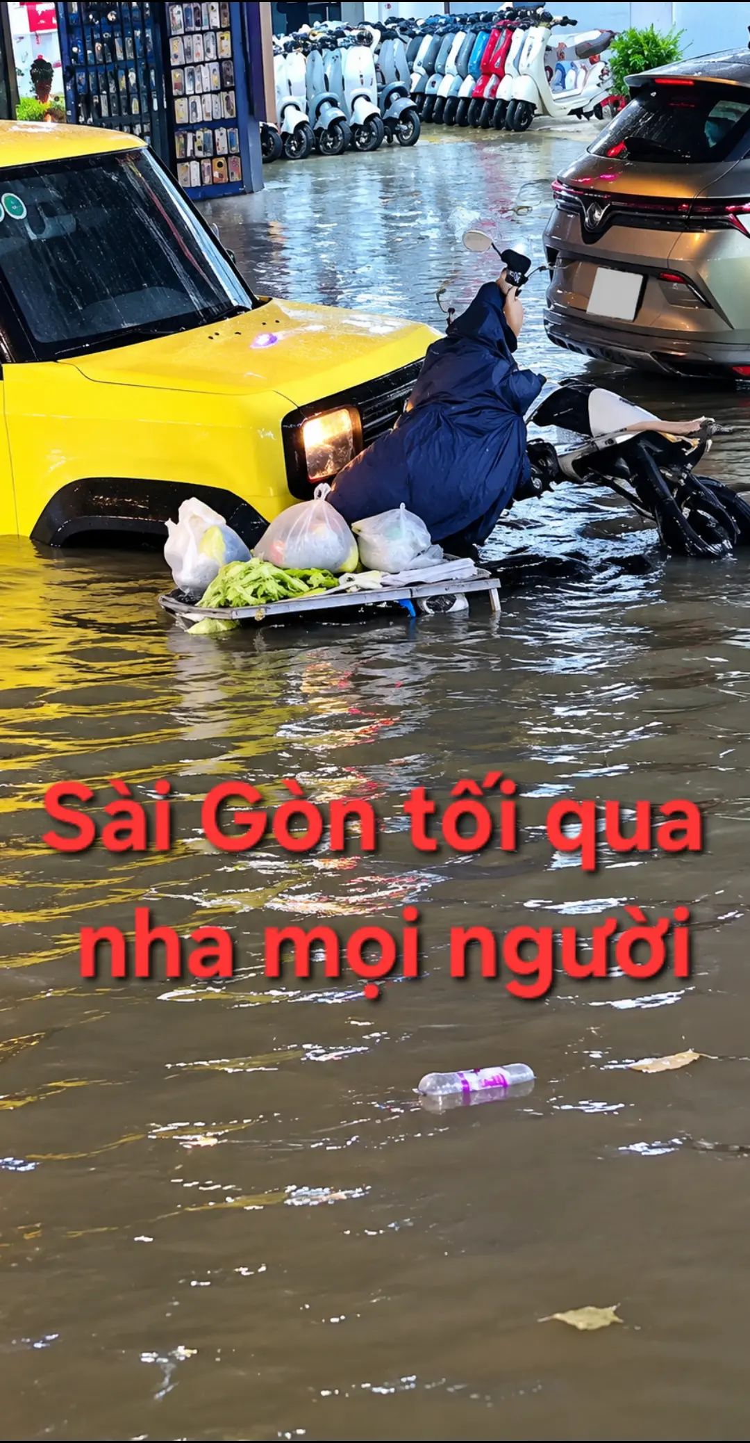 Car360 cover