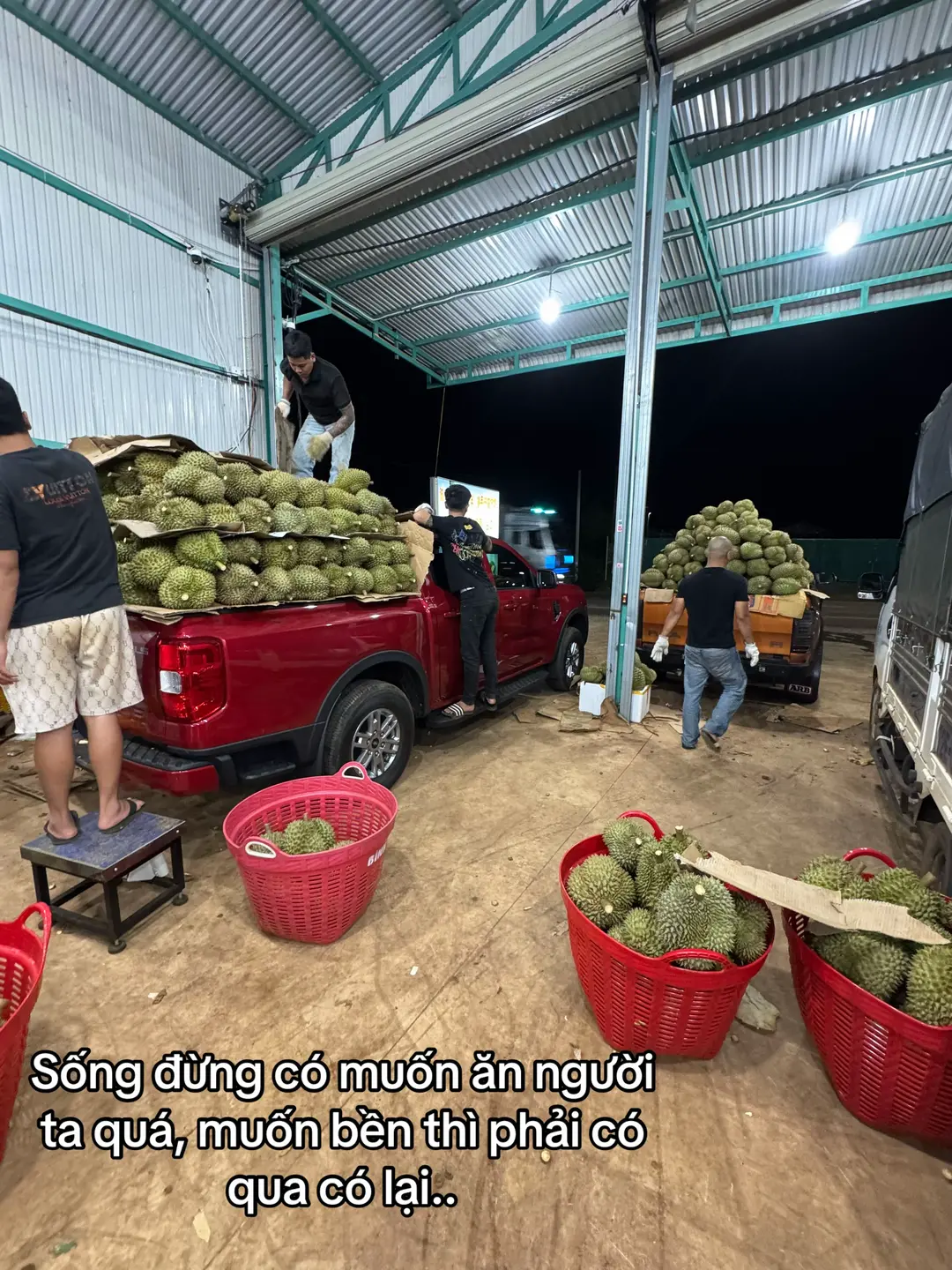 Car360 cover
