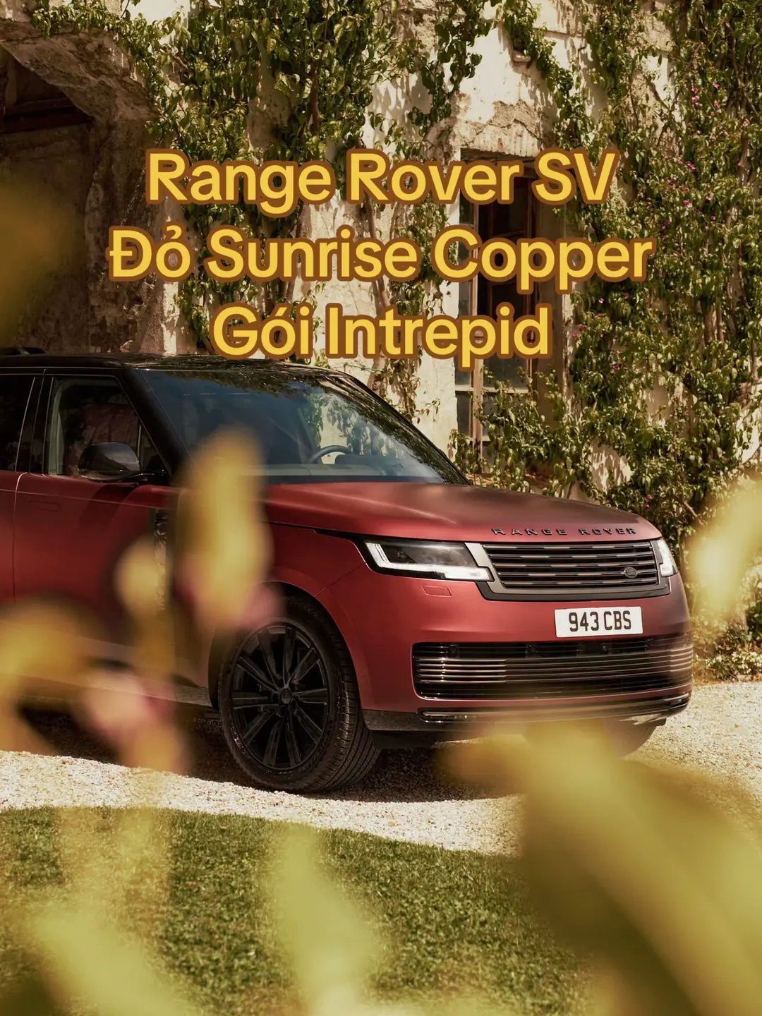 Car360 cover