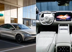 Car360 cover