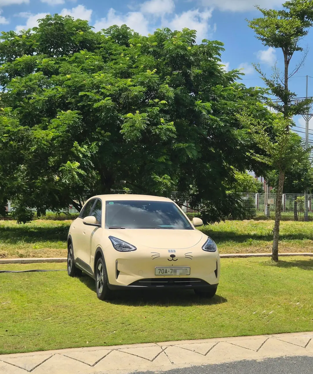 Car360 cover