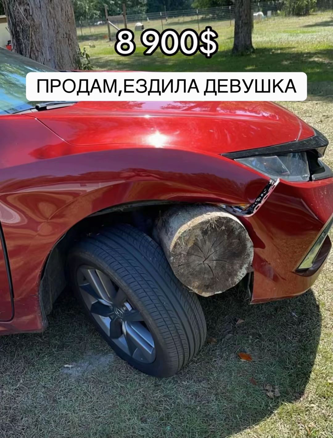 Car360 cover