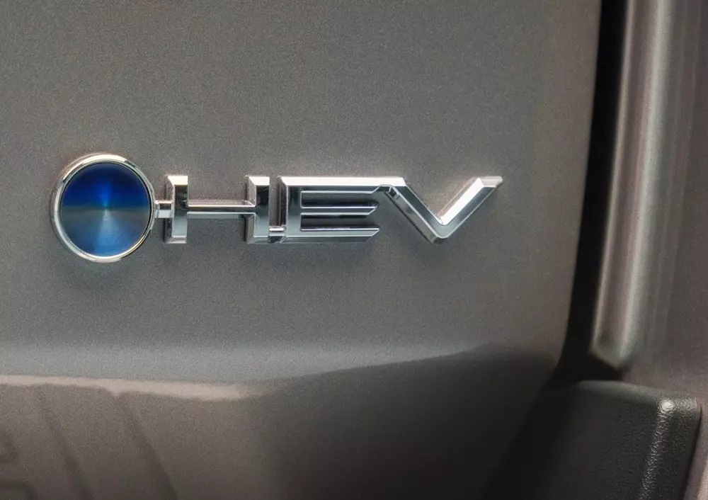 Toyota, Land Cruiser 300 ảnh 1