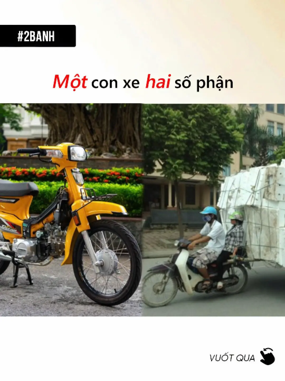 Car360 cover